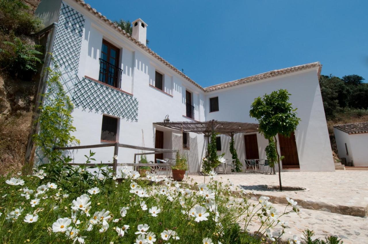 Apartamento El Granero at Molino la Ratonera Zagra Exterior foto